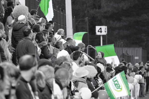 Spectateurs vert et blanc - Alu - 40*60cm